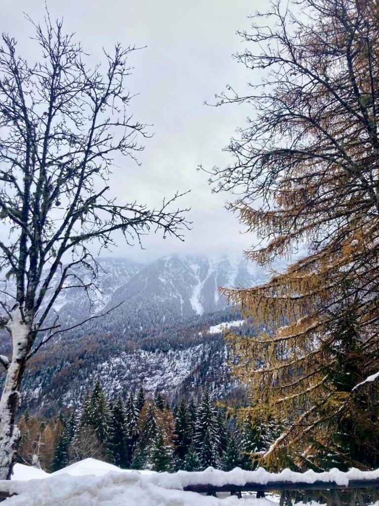 Appartamento Sulle Piste Folgarida Εξωτερικό φωτογραφία